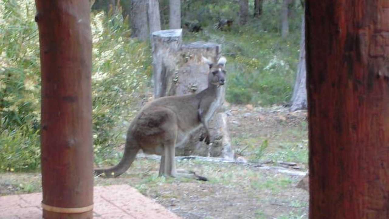 Photo of Others in Margaret River