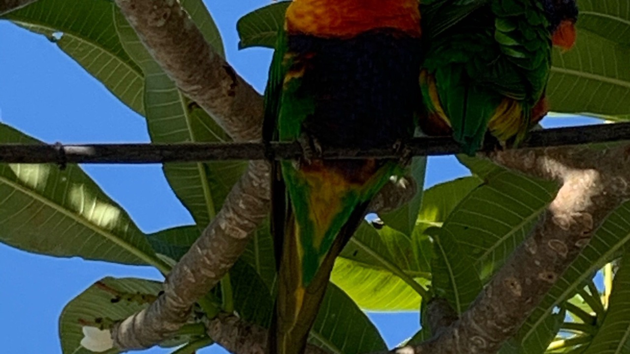 Photo of Others in Shoal Bay
