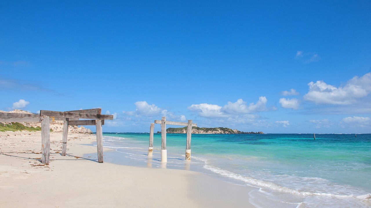 Photo of Others in Hamelin Bay