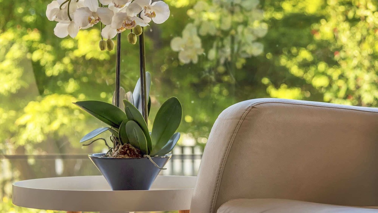Photo of Livingroom in Bowral
