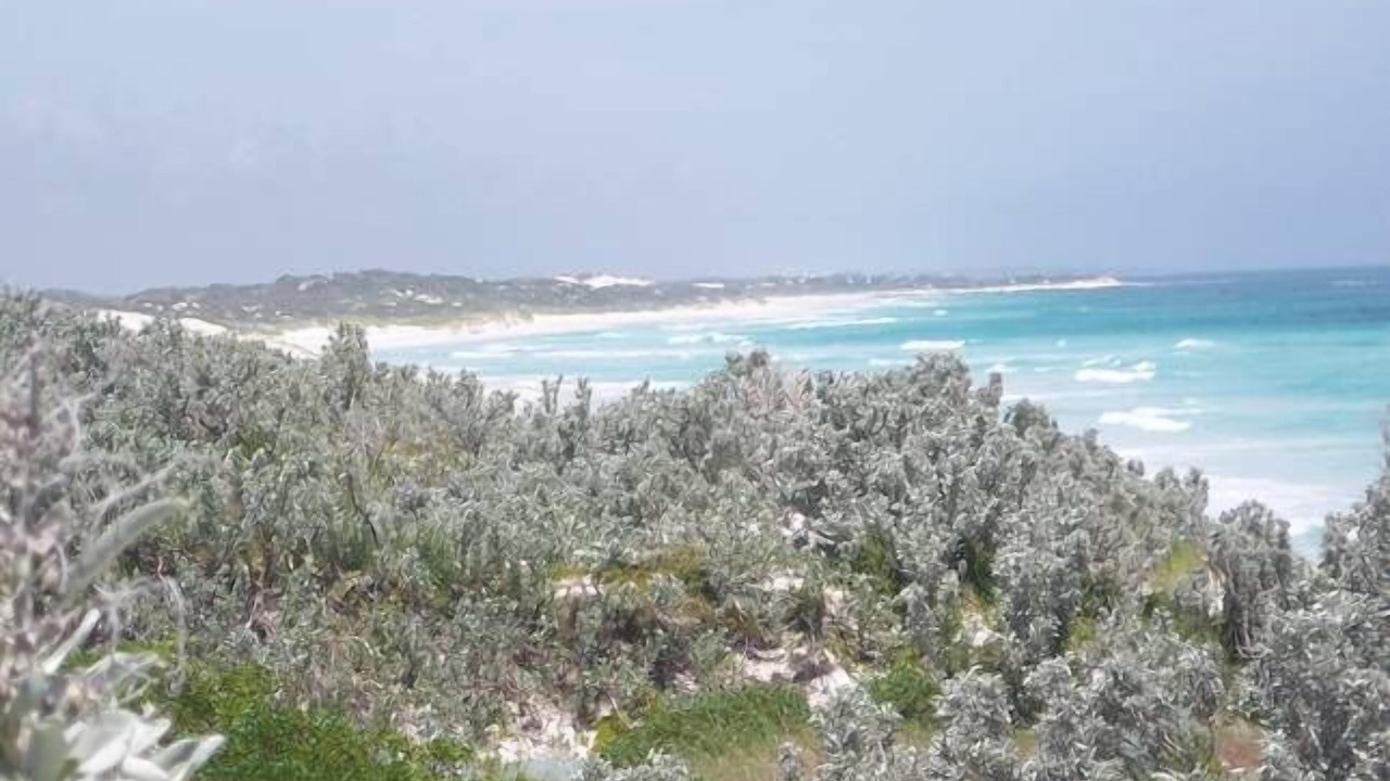 Photo of Others in Lancelin