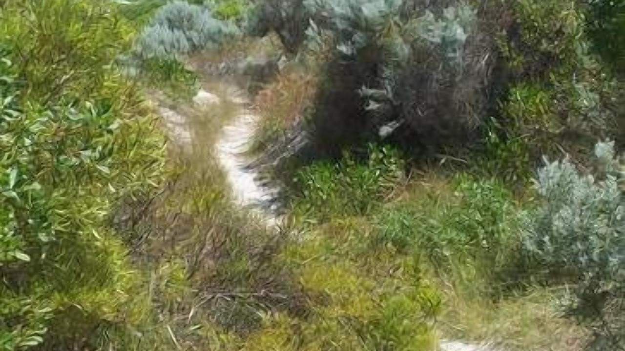 Photo of Outdoor in Lancelin