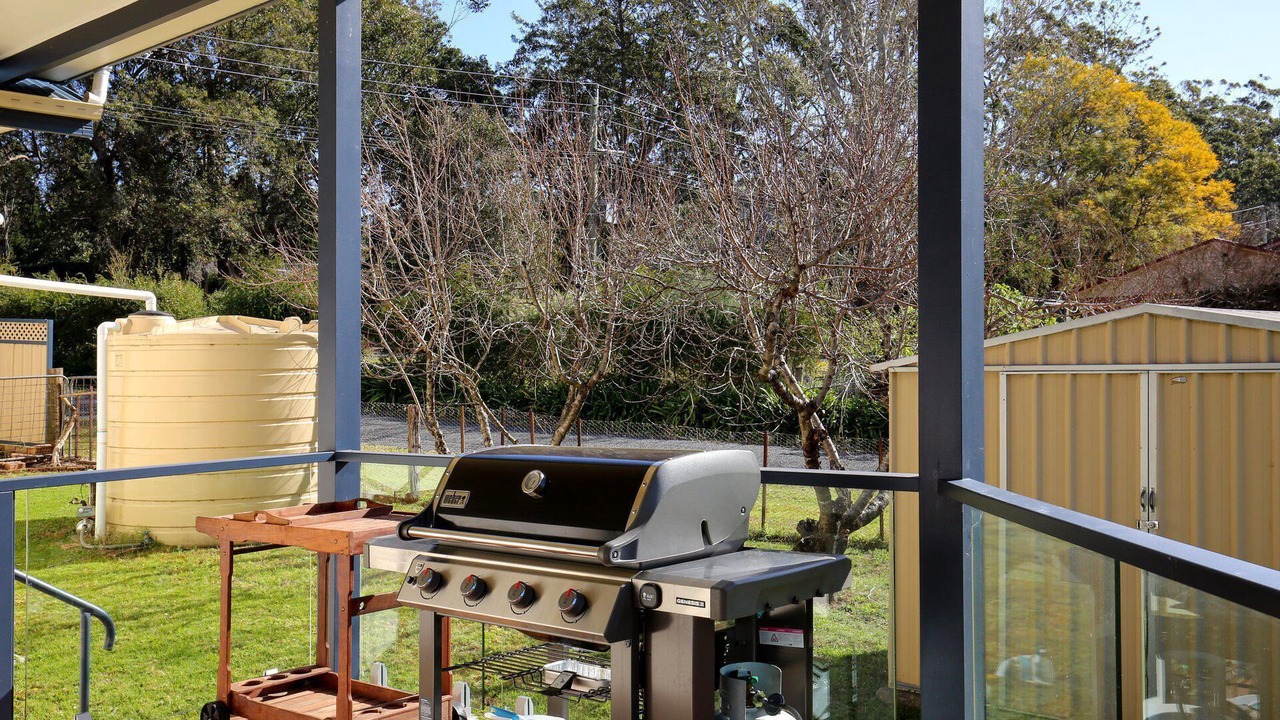 Photo of Outdoor in Berry