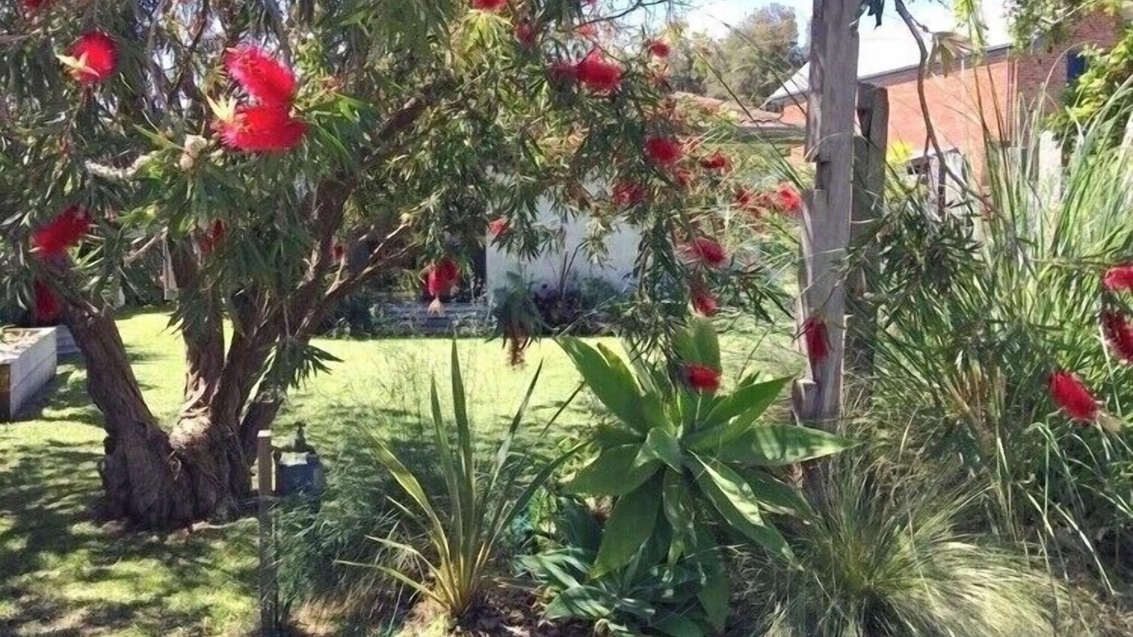 Photo of Outdoor in Point Lonsdale