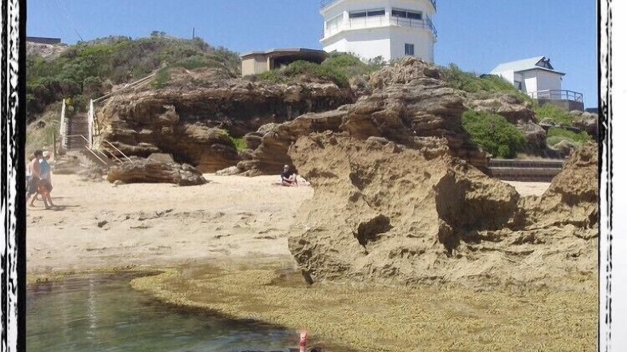Photo of Others in Point Lonsdale