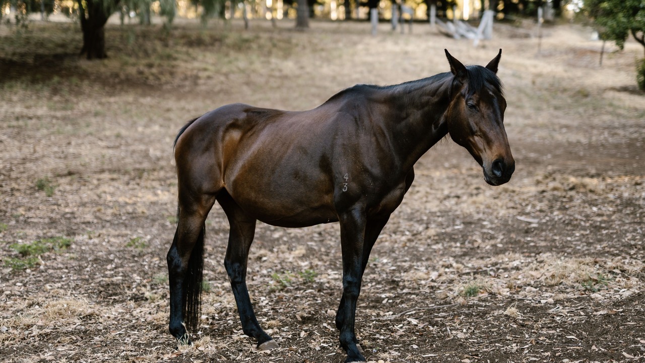 Photo of Others in Margaret River