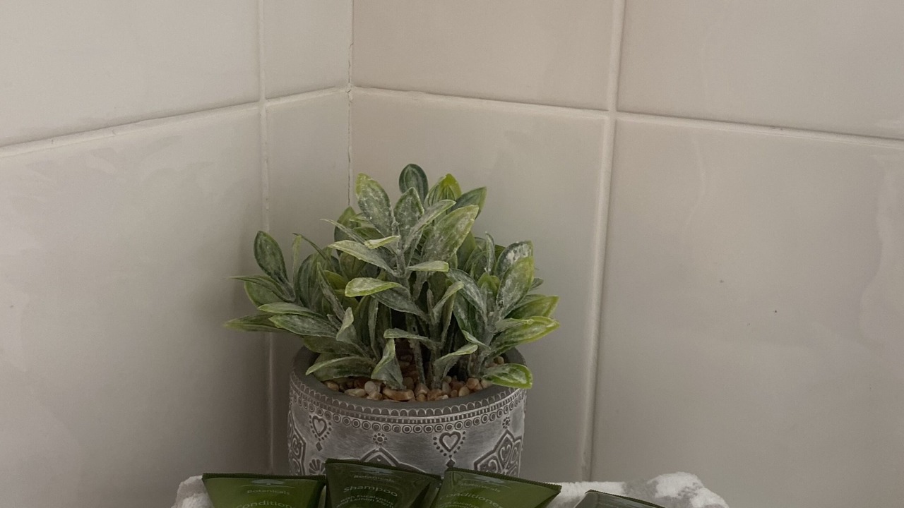Photo of Bathroom in Katoomba