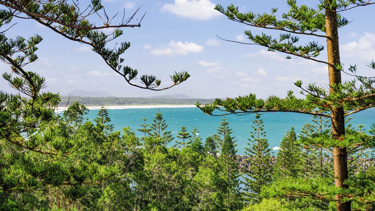 Photo of Others in Port Macquarie