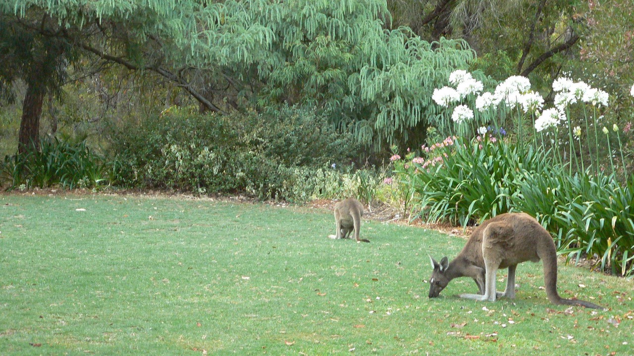 Photo of Outdoor in Margaret River
