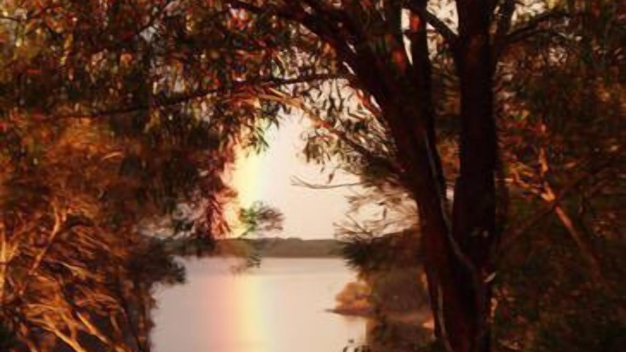 Photo of Others in Merimbula
