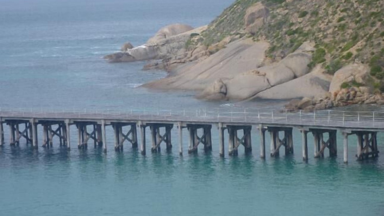 Photo of Others in Marion Bay