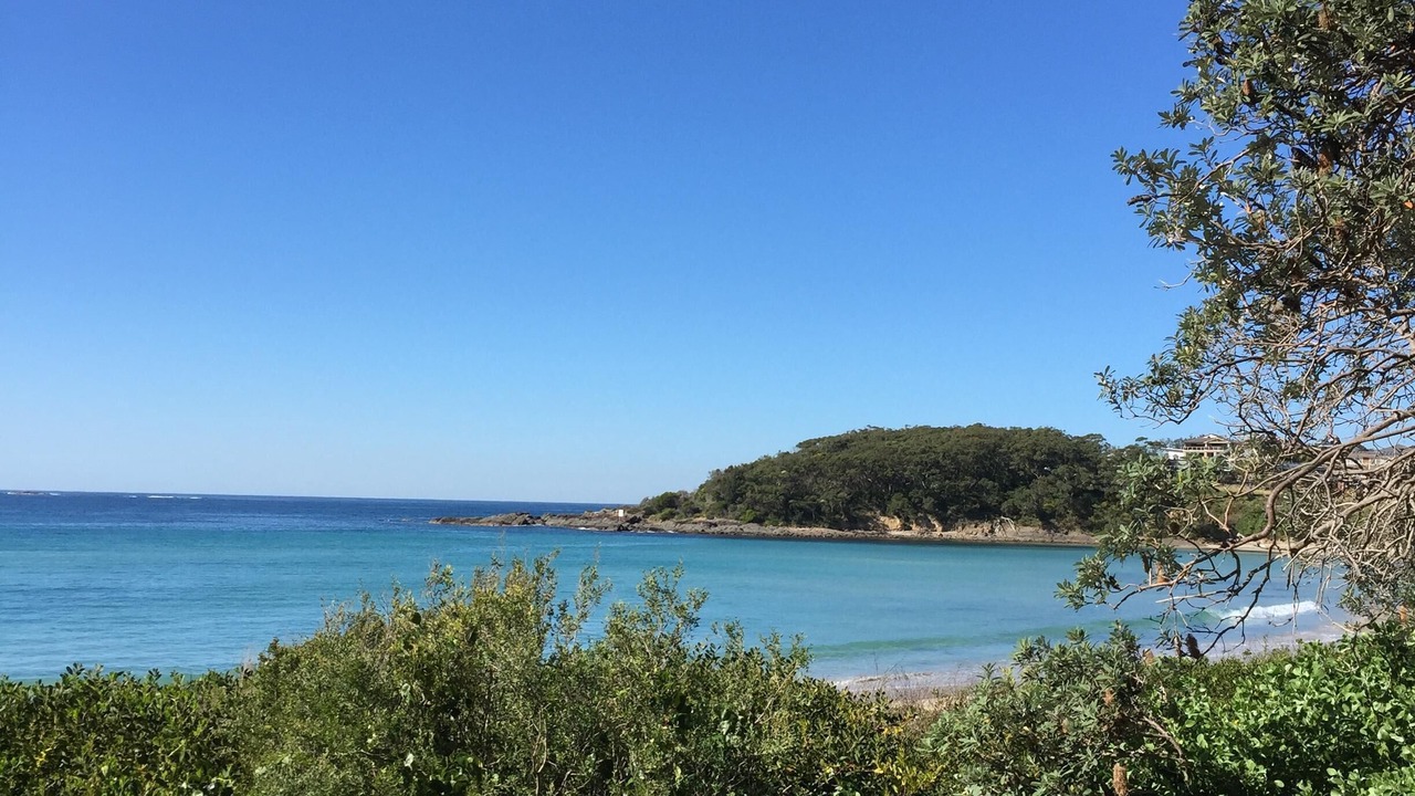 Photo of Others in Fingal Bay