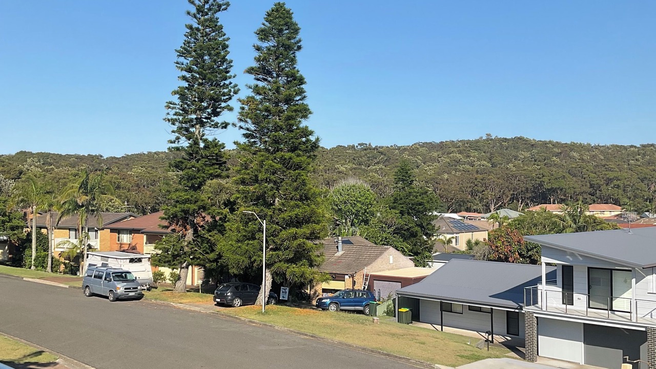 Photo of Others in Fingal Bay