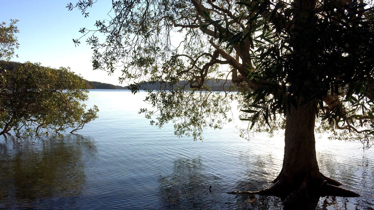 Photo of Others in Smiths Lake