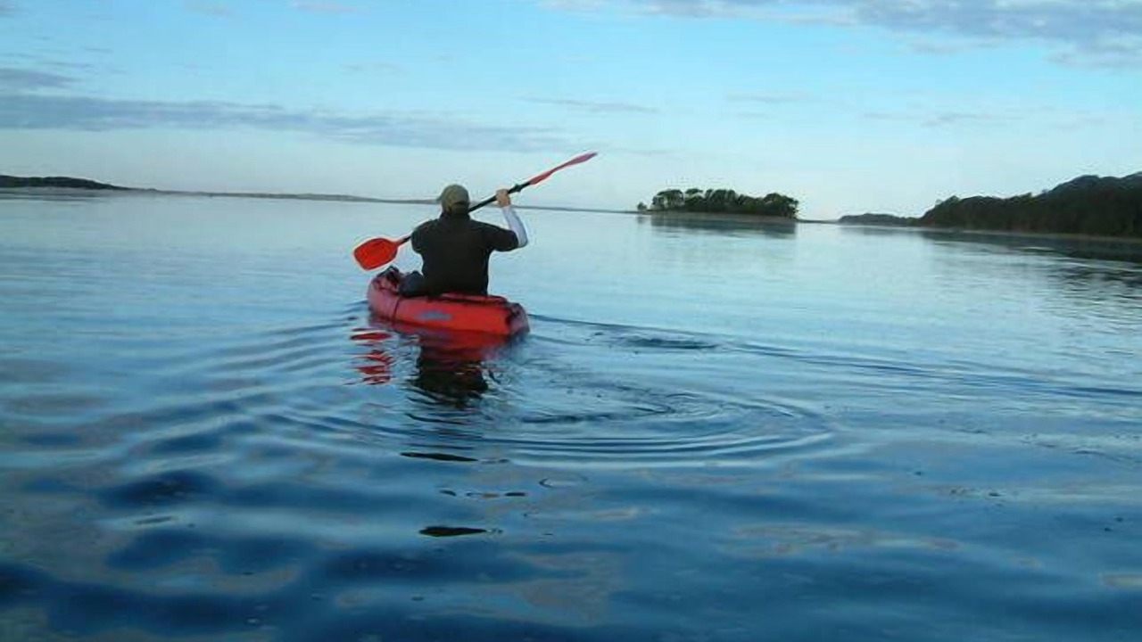 Photo of Outdoor in Smiths Lake