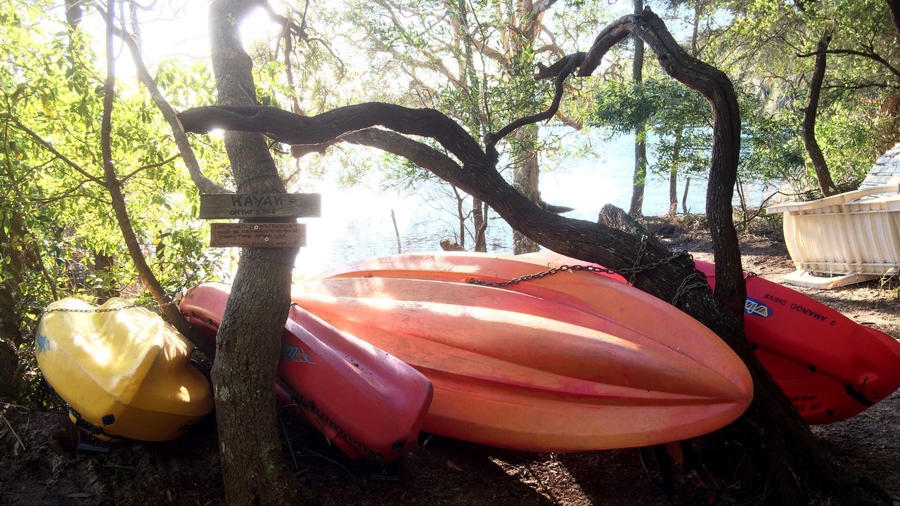 Photo of Others in Smiths Lake