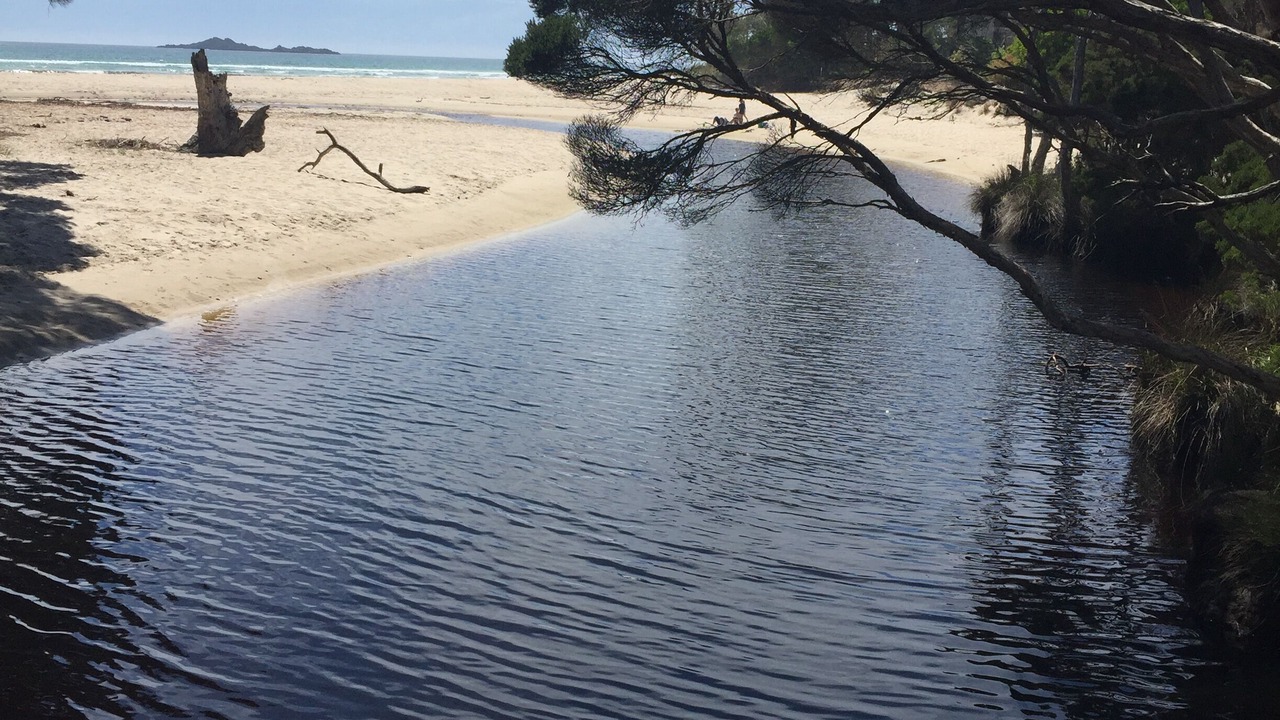 Photo of Others in Sisters Beach