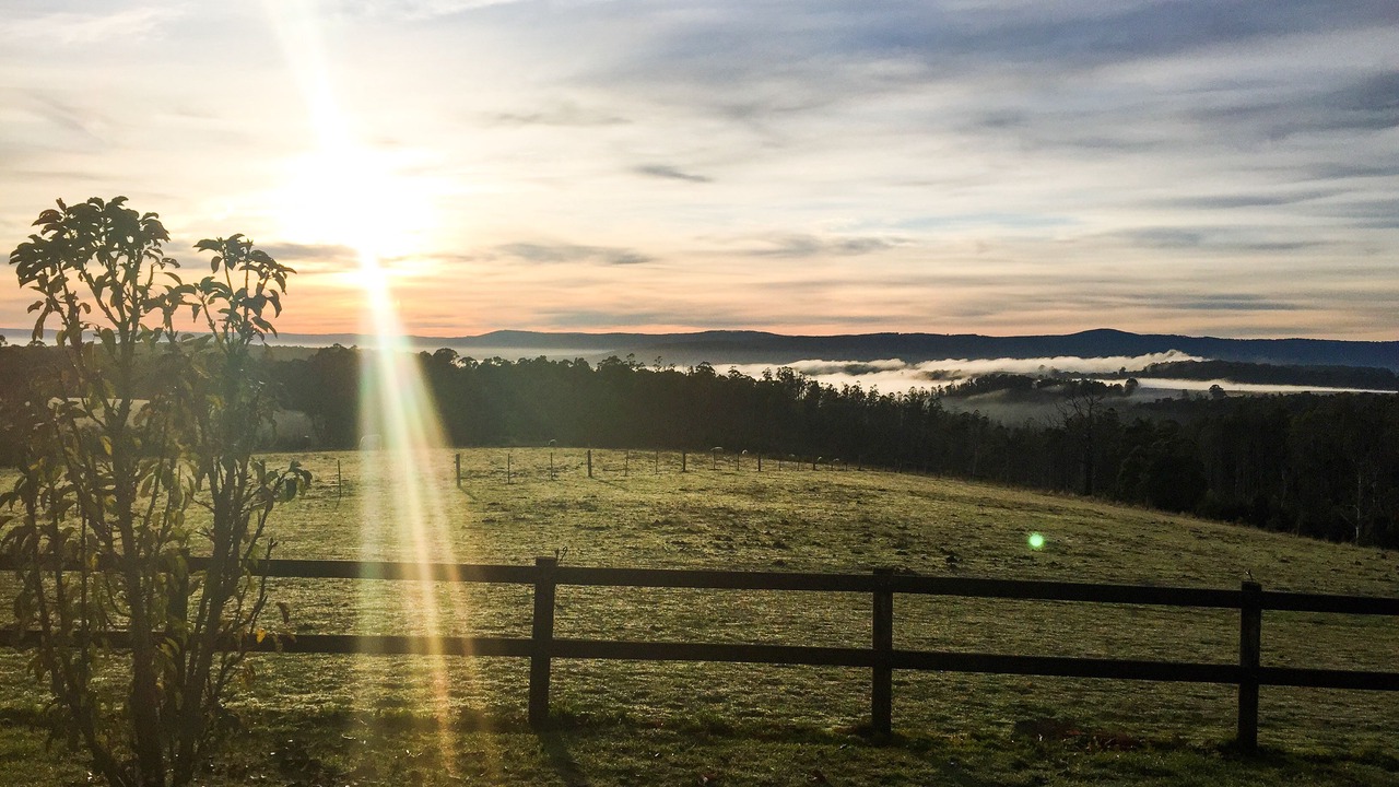 Photo of Outdoor in Kinglake Central