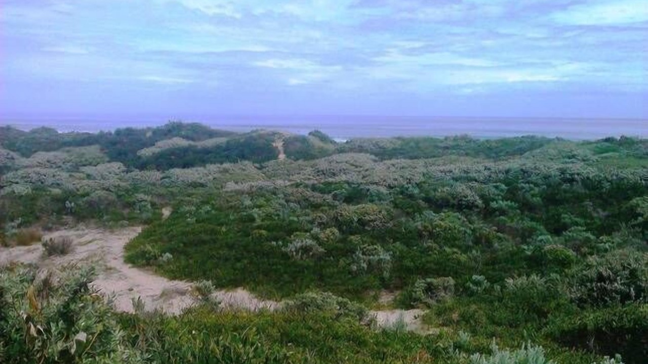 Photo of Others in Venus Bay