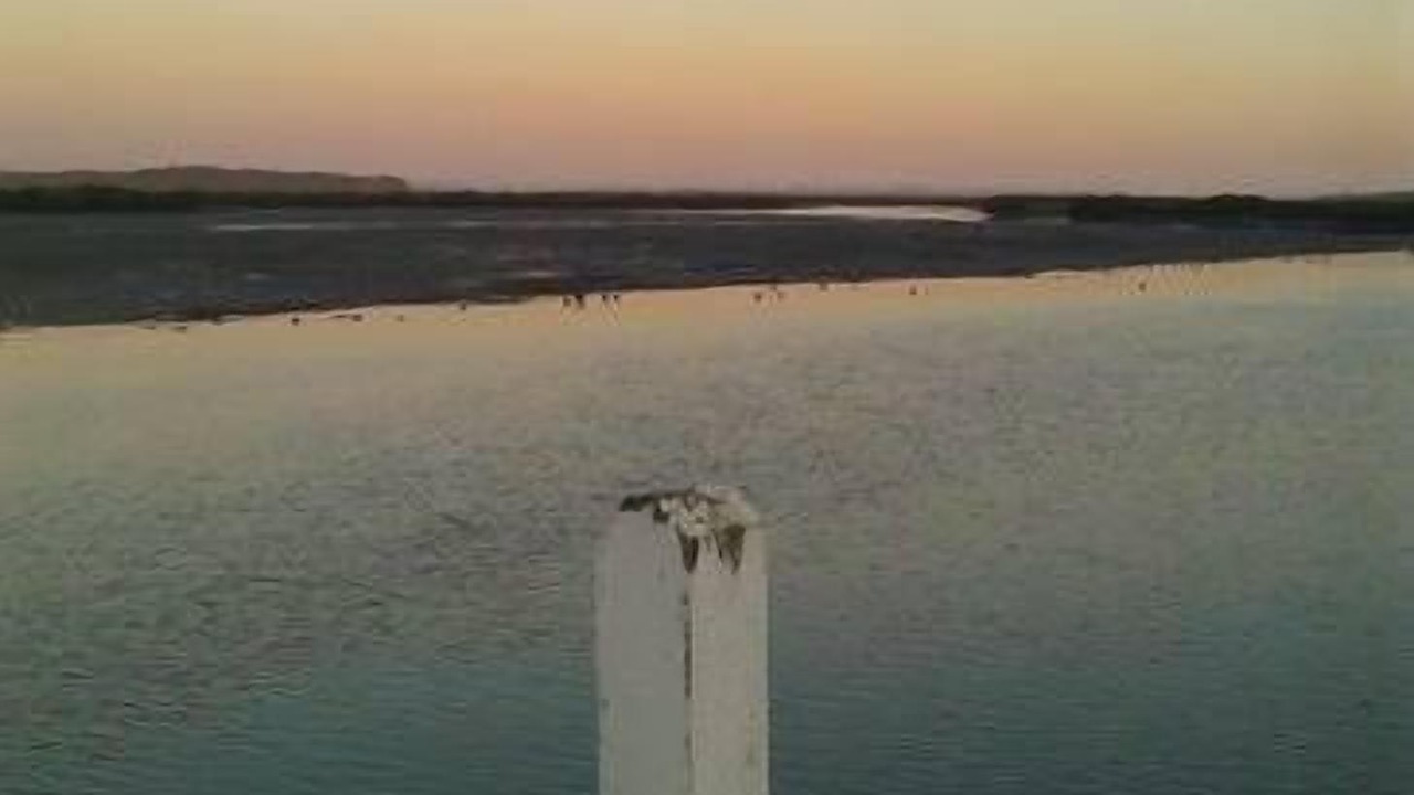 Photo of Others in Venus Bay
