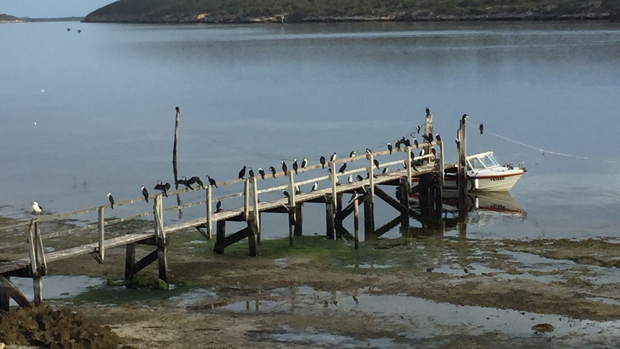 Photo of Others in Lake Wangary