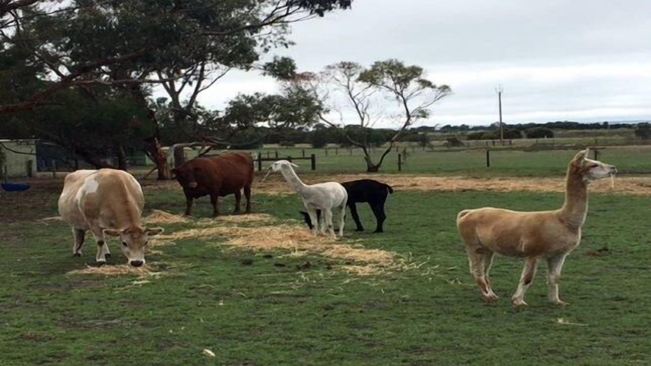 Photo of Outdoor in Kingscote