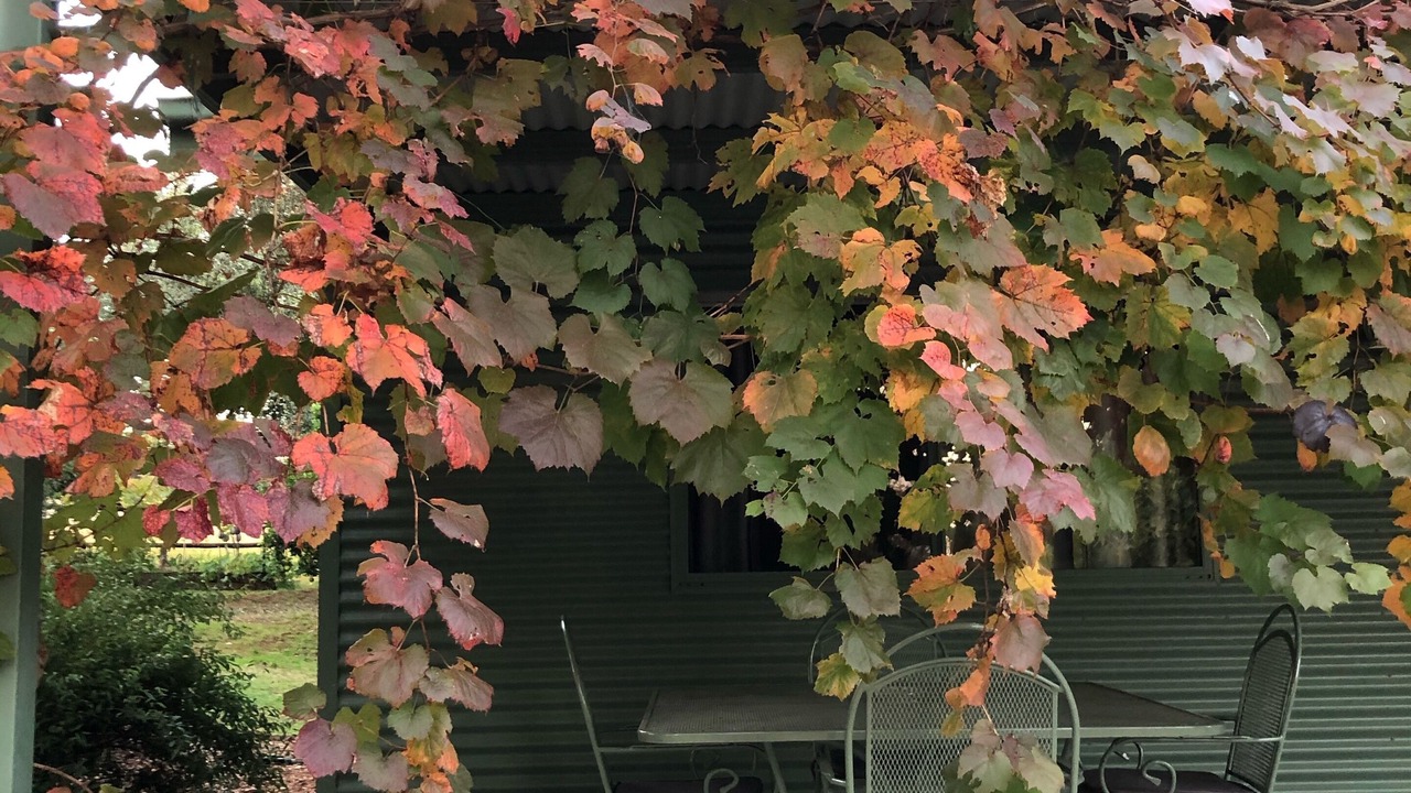 Photo of Outdoor in Dubbo