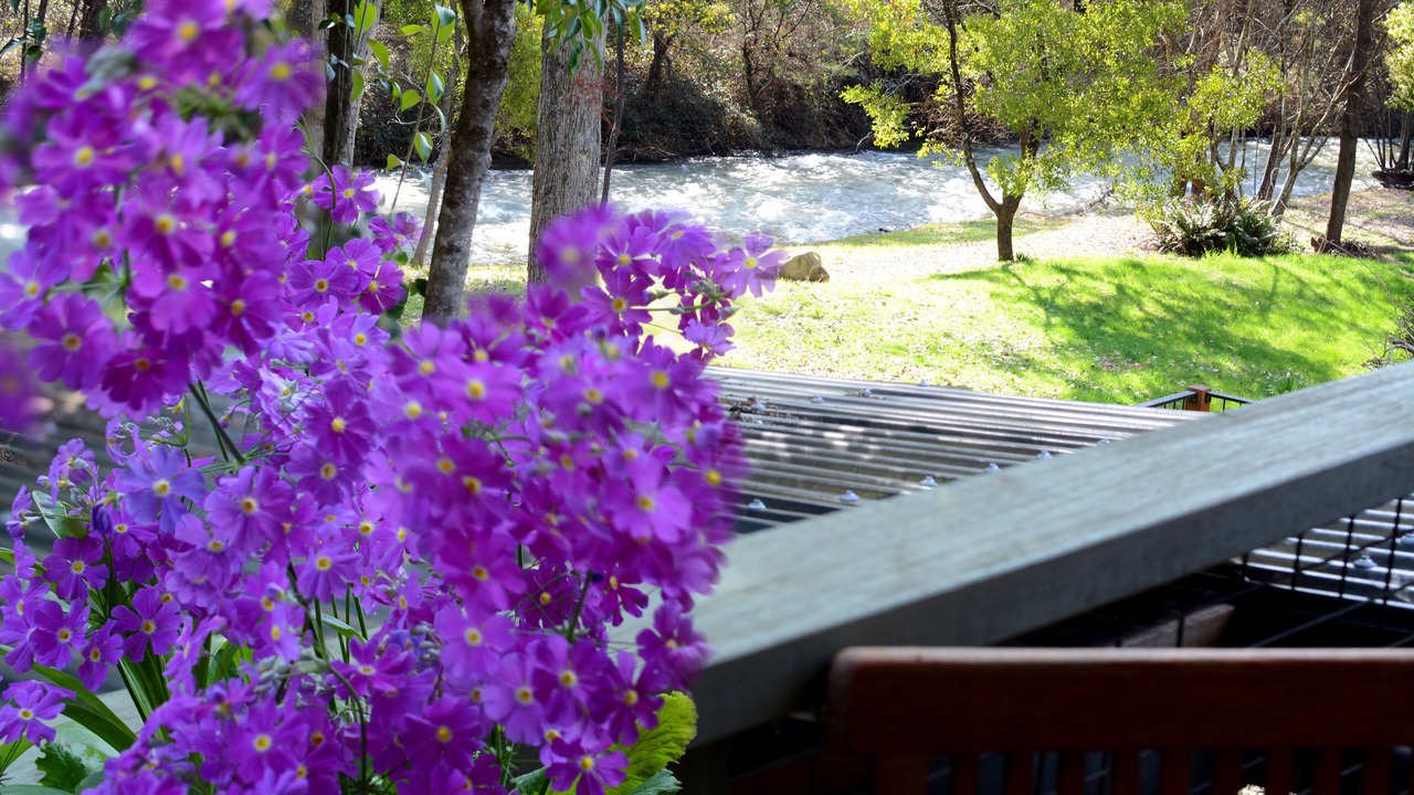 Photo of Outdoor in Harrietville