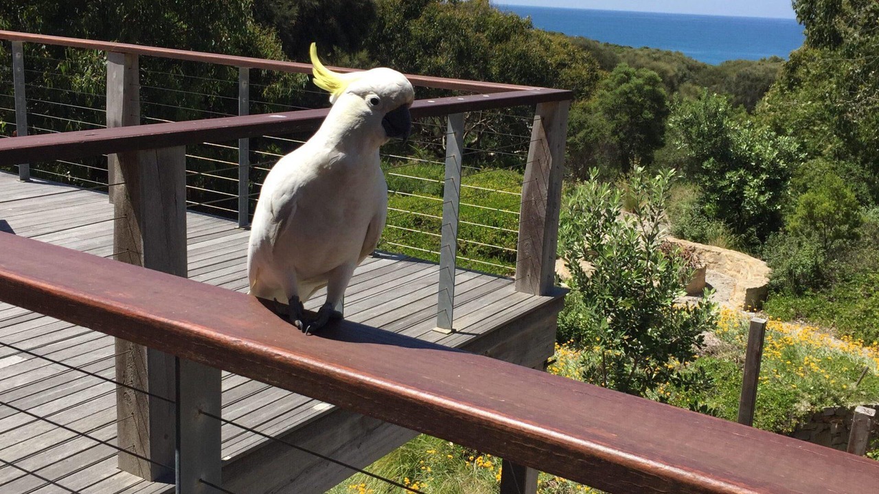 Photo of Outdoor in Surf Coast
