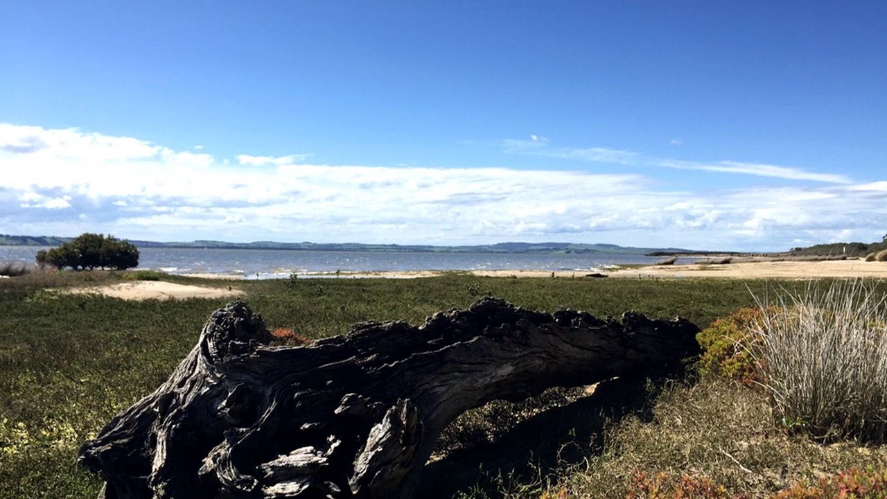 Photo of Others in Venus Bay