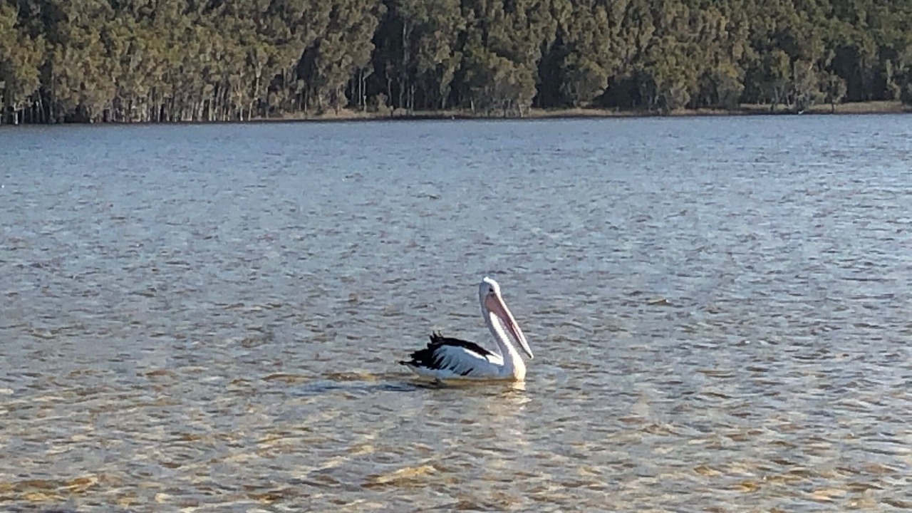 Photo of Others in Smiths Lake