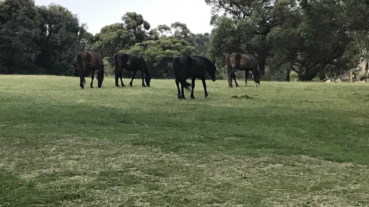Photo of Others in Lake Crackenback