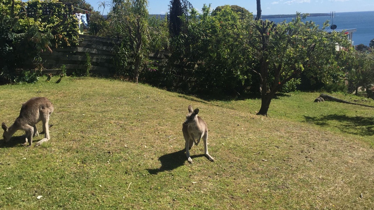 Photo of Outdoor in Pambula Beach