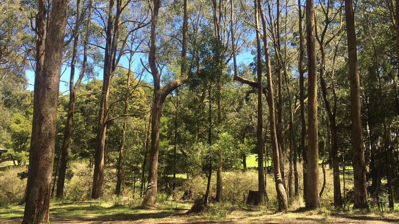 Photo of Outdoor in Bullarto South