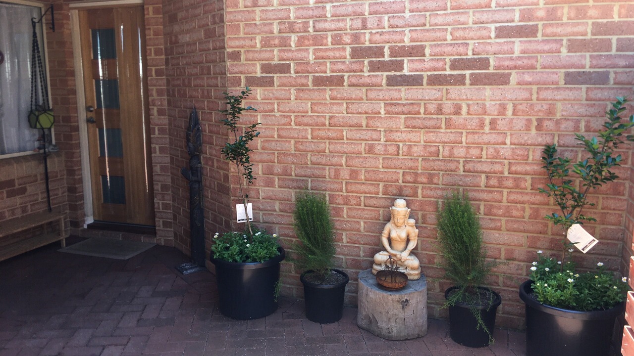 Photo of Outdoor in Margaret River