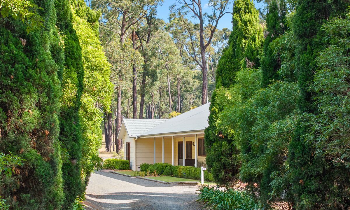 Photo of Outdoor in Lovedale