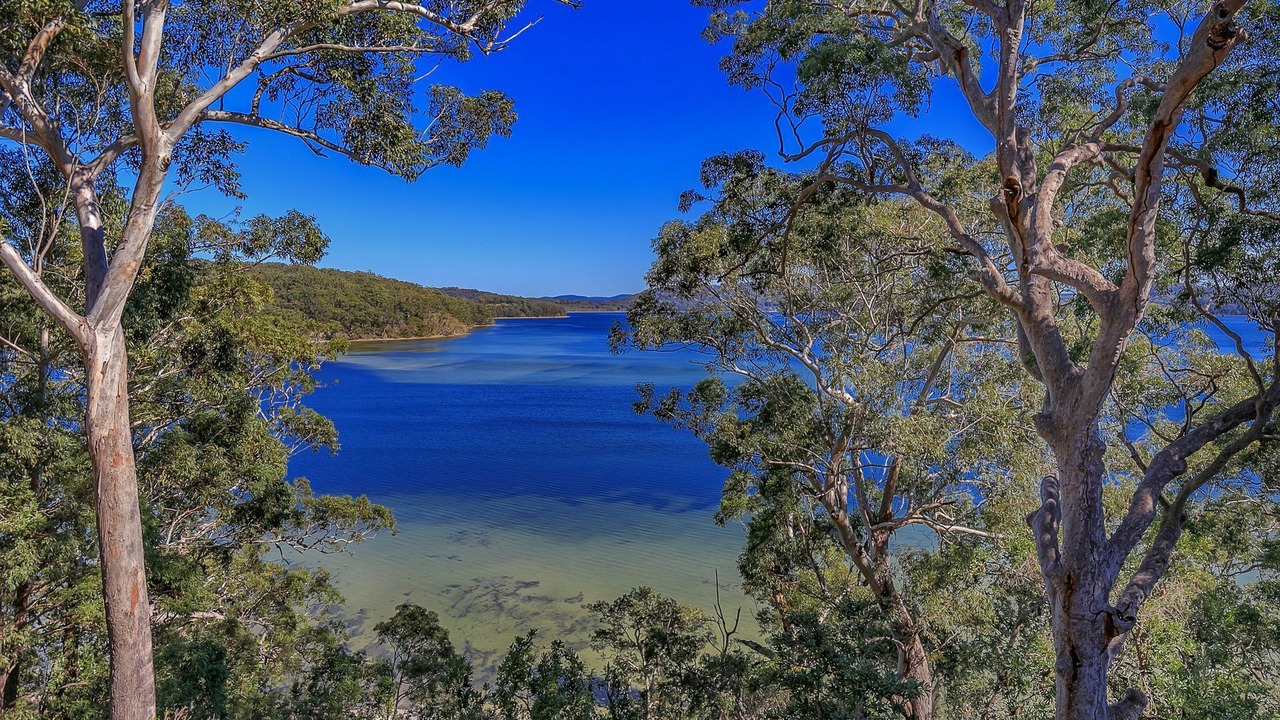 Photo of Others in Smiths Lake