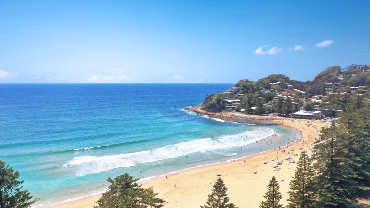 Photo of Others in Avoca Beach