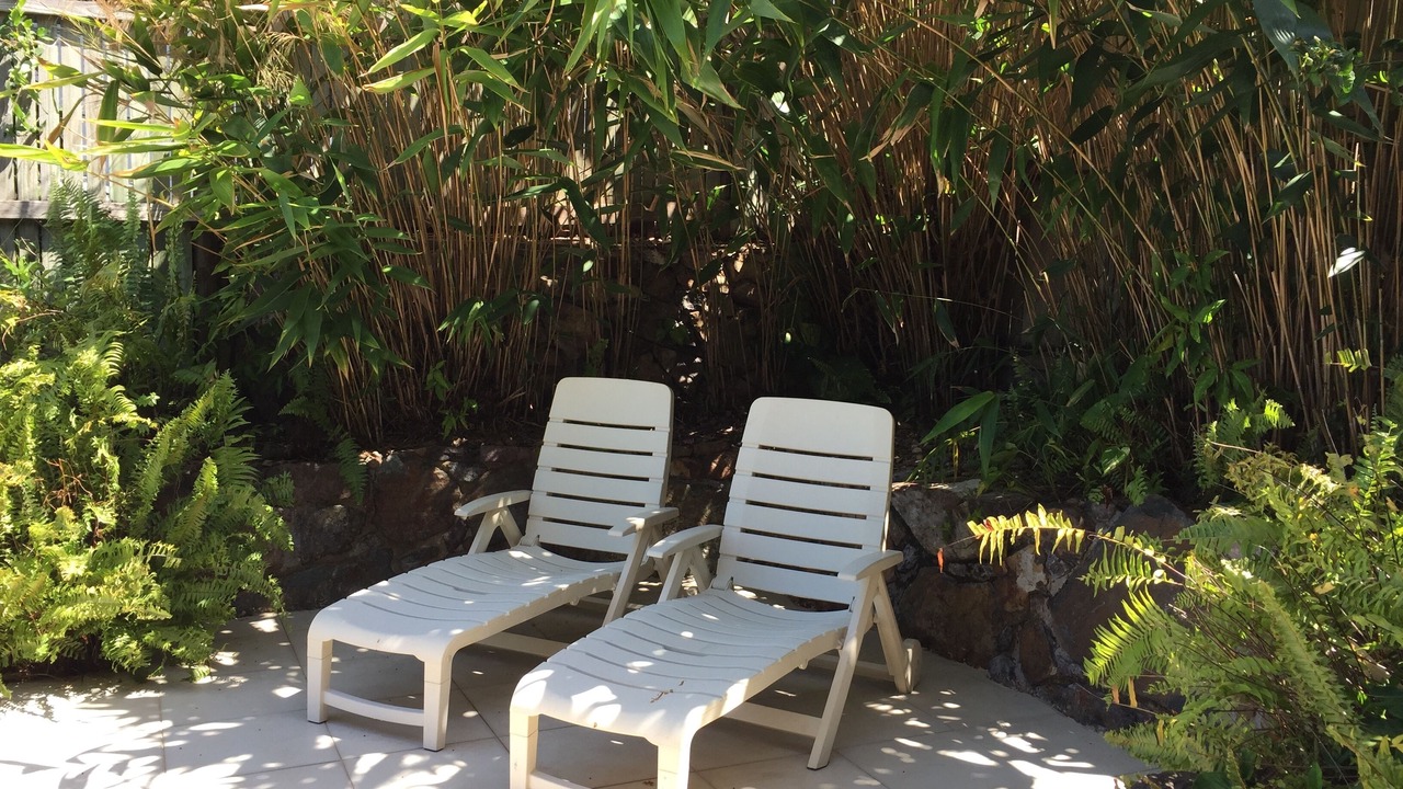 Photo of Outdoor in Shute Harbour