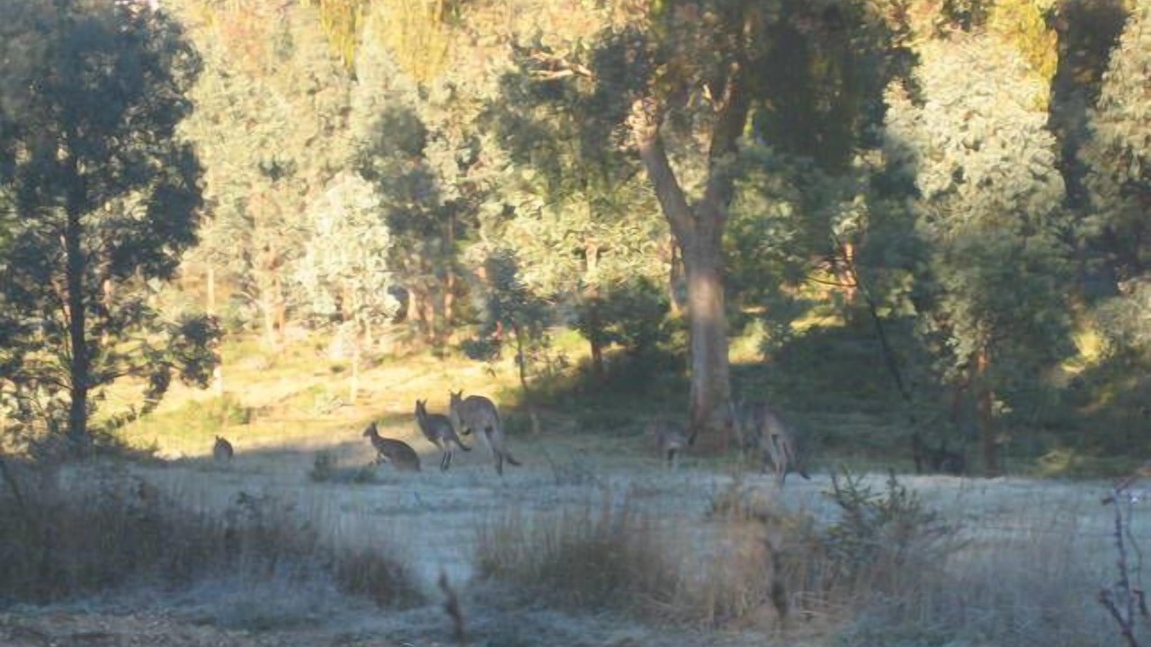 Photo of Outdoor in Chewton
