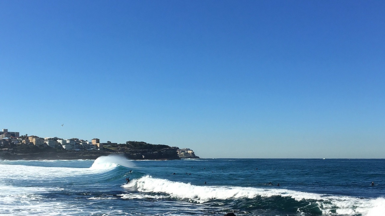 Photo of Others in Bronte