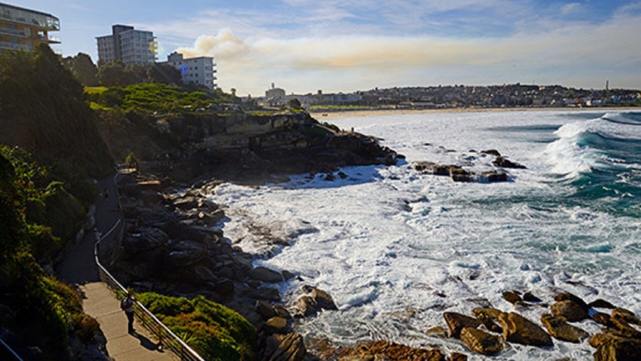 Photo of Others in Bondi