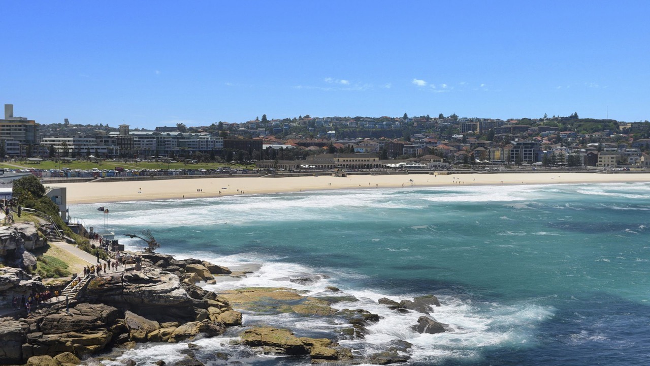 Photo of Others in Bondi
