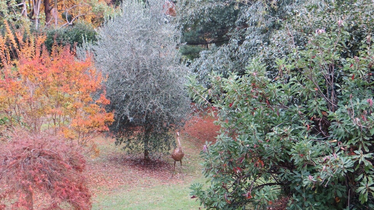 Photo of Others in Warburton
