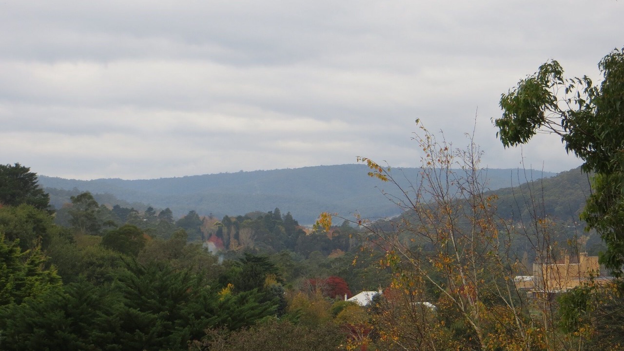 Photo of Others in Warburton