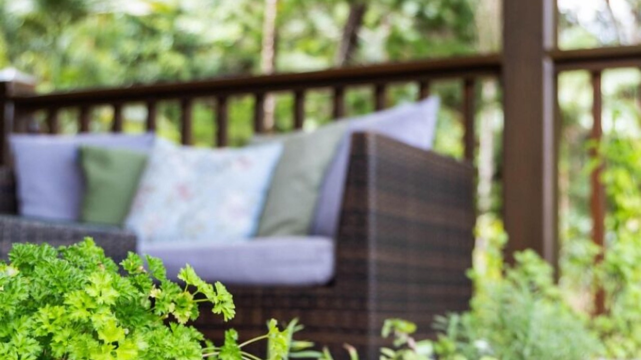 Photo of Outdoor in Forest Creek