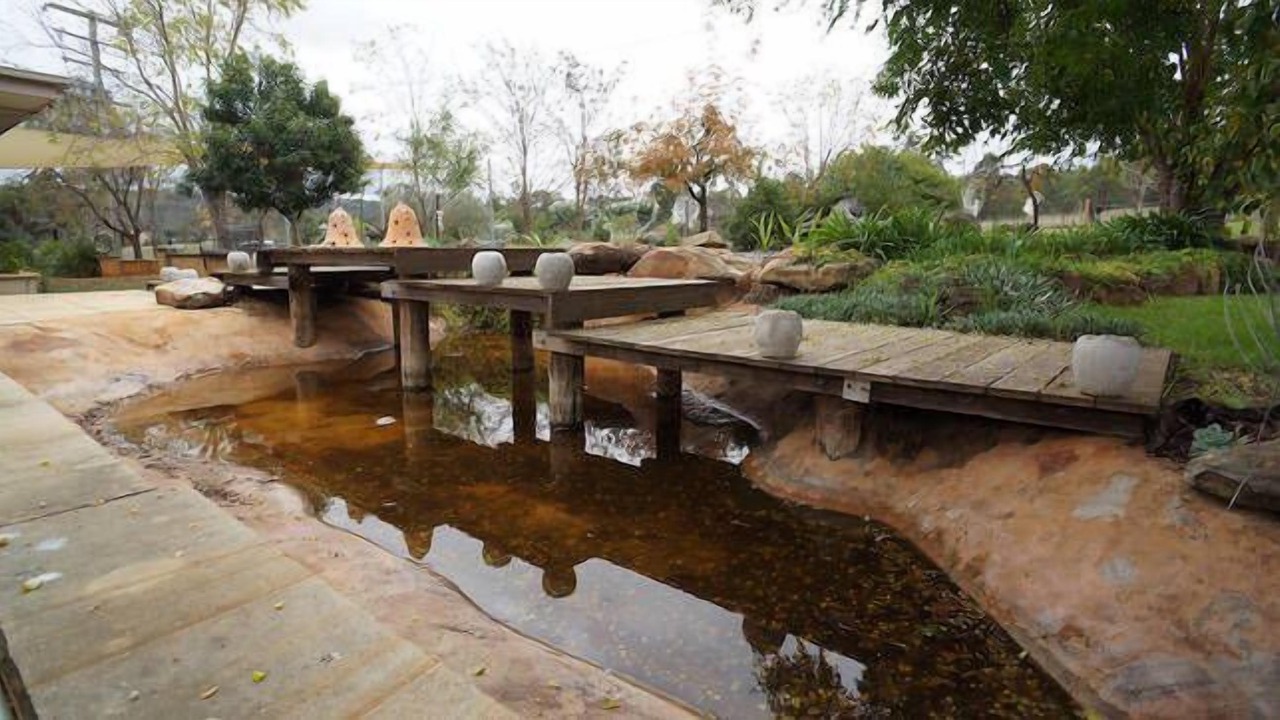Photo of Outdoor in Merriwa