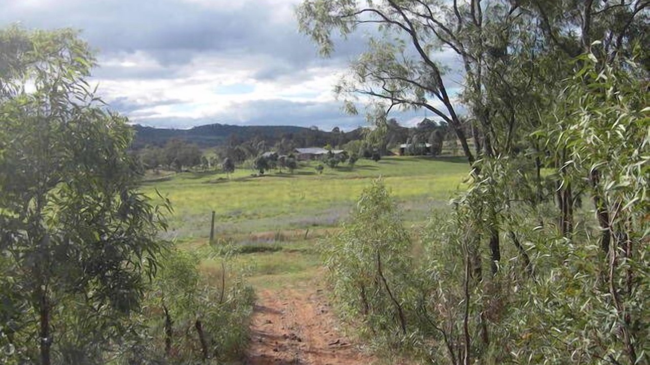 Photo of Outdoor in Merriwa