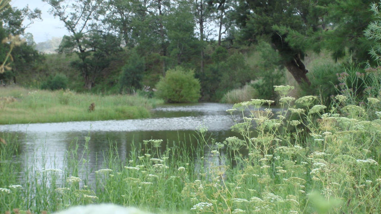 Photo of Outdoor in Merriwa
