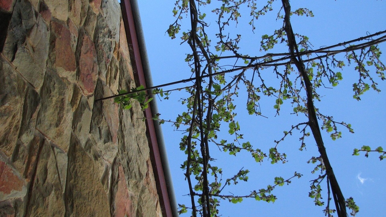 Photo of Outdoor in Guildford